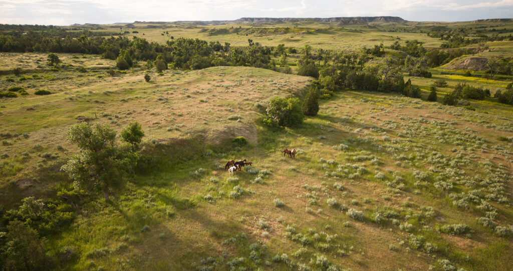 AusRanch PRESS