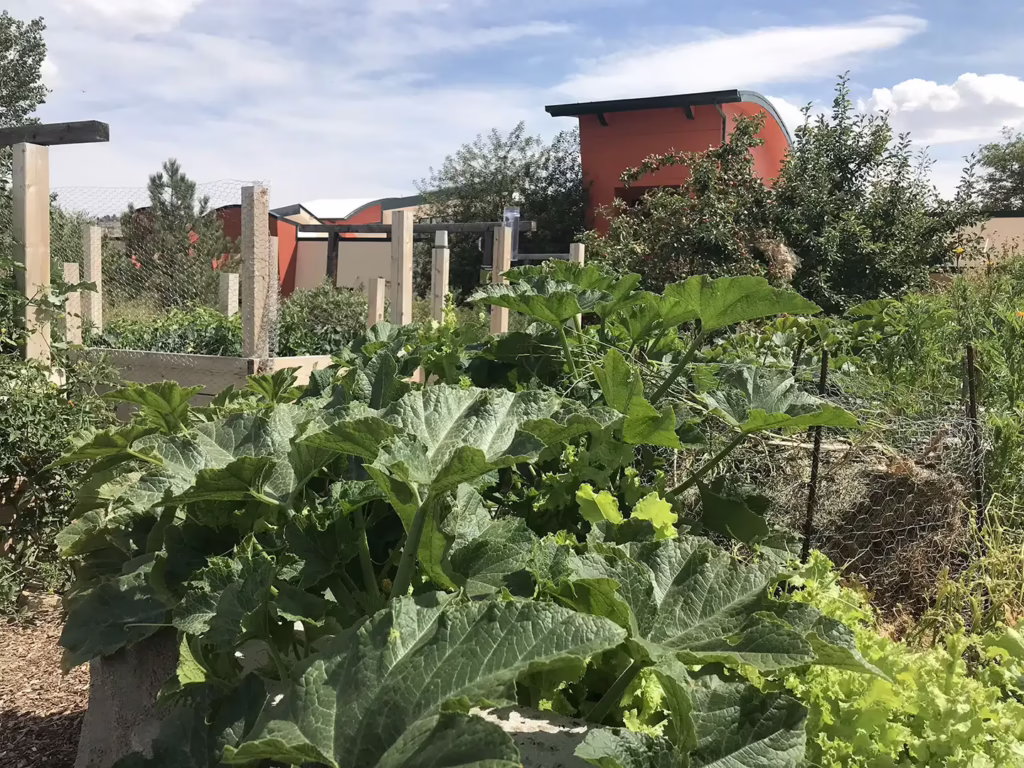 KeyholeGarden Squash