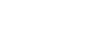 New York Times logo Wht