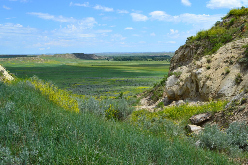 TRR path across Fix ranch3 (StevePaulson photo)